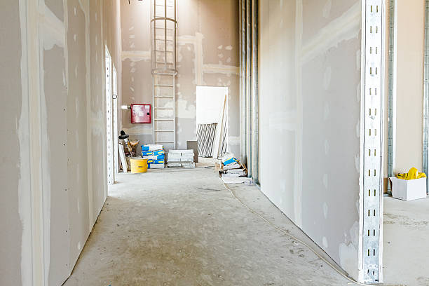 Best Drywall Sanding and Smoothing  in Orchard Mesa, CO